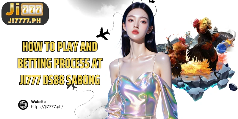 How to play and betting process at Ji777 DS88 Sabong