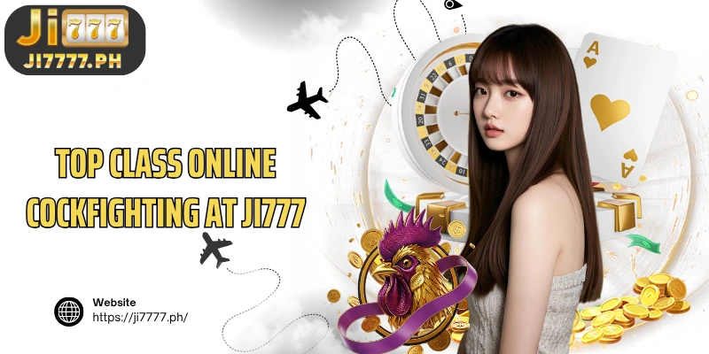 Top class online cockfighting at Ji777