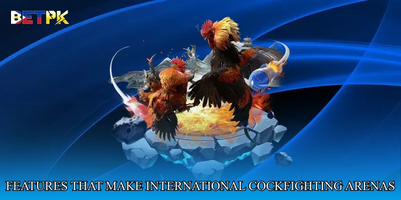 Features That Make International Cockfighting Arenas Unique