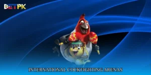 International cockfighting arenas